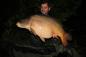 Preview: Giant Carp Boilies 10 kg ab (6,90 € Grundpreis).